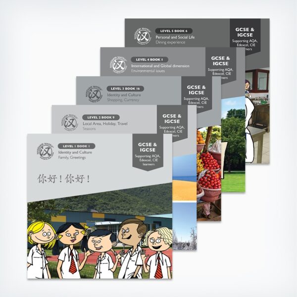 i/GCSE Chinese Leveled Reading